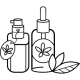 talp_1 talp_1